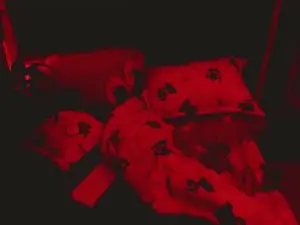 Cam4 Adult Webcams of Nathalia_Looes