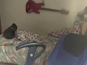 Cam4 Live Sex of frierenhott