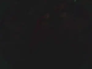 Cam4 Nude Webcam of lishrimpdick