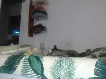Chaturbate Sex Chat of camila_bigcock_ts