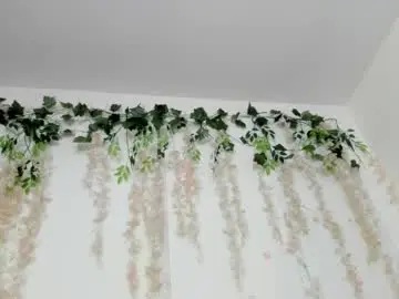 Chaturbate Adult Webcam of liz_lunaa