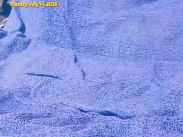 Chaturbate Adult Webcams of ornimegalonyx
