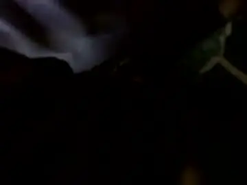 Chaturbate Live Sex Cam of transcendental_tara