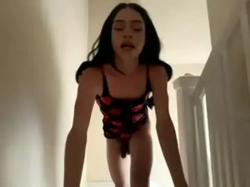 Chaturbate Live Sex of dynasty313