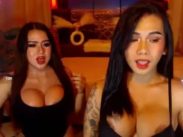 Chaturbate Adult Video Chat of transpornidol