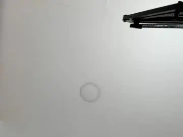 Chaturbate Live Sex of sarita_loven